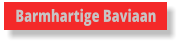 Barmhartige Baviaan