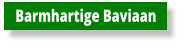 Barmhartige Baviaan