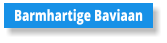 Barmhartige Baviaan