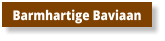 Barmhartige Baviaan