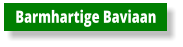 Barmhartige Baviaan