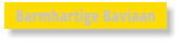 Barmhartige Baviaan