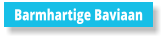 Barmhartige Baviaan