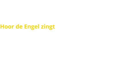Kerstvoorstelling  Hoor de Engel zingt De voorstelling begint met de reis die Jozef en Maria maken naar  Bethlehem. Ze lopen door de stad op zoek naar een plek om te  overnachten.  Ze kloppen aan bij verschillende herbergen, maar er is geen  plaats. Doodmoe vinden ze uiteindelijk plek in een oude stal.  Daar wordt Jezus geboren.